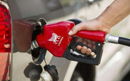 加油是該加滿還是加一半 修車工 多數(shù)車主都加錯(cuò),懶得提醒