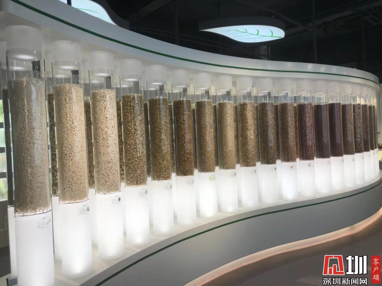 而今邁步從頭越！國家藥監(jiān)局兩重點實驗室落戶深圳，醫(yī)藥科技迎來新機遇