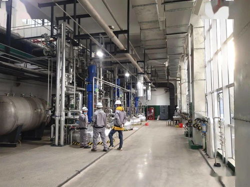 總投資50億元，富祥科技生物醫藥項目邁入試生產新階段